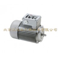 Minimotor-單相同軸齒輪電動機ACE技術參數