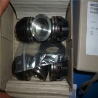 SPECK水環式真空泵QY1042資料