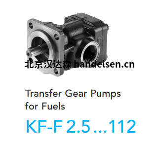 Kracht齒輪泵KF系列KF-F 40RF2-158-D15 Kracht齒輪泵KF系列KF-F 40RF2-158-D15