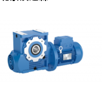 ROSSI蝸輪減速機STANDARDFIT AS系列 170643201132.png.thumb
