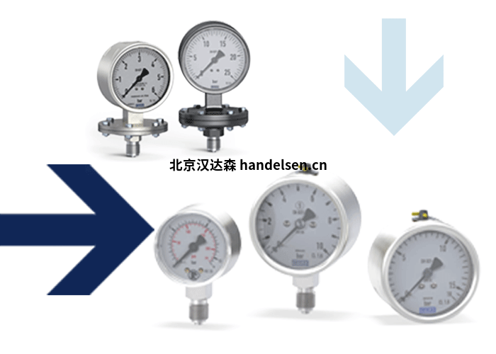 RIEGLER壓力表和溫度計 RIEGLER壓力表和溫度計