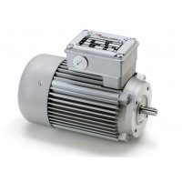 意大利Minimotor進口電動機渦輪蝸桿馬達驅動器PACE-24MP4N 48.7 B3