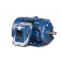 CEMP防爆電機IEC 60034 - 1, 2, 5, 6, 7, 8, 9, 12, 14, 30