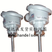 德國專業銷售TEMATEC插入式熱電偶