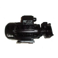 BRINKMANN  PUMPS隔膜泵插桶泵手提桶裝泵工業泵