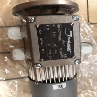 Mini Motor單向電機，異步電機系列展示