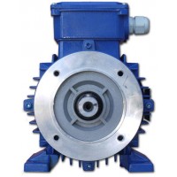 SMEM 電機T3A 80B 4POLI 原裝進口