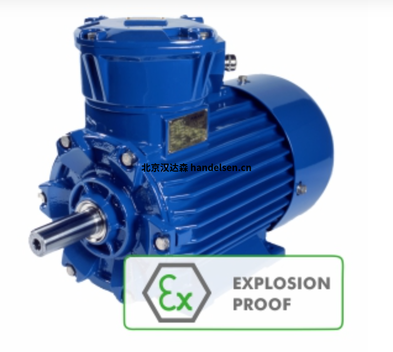CANTONI ExSh-ExSg系列防爆電機 CANTONI ExSh-ExSg系列防爆電機