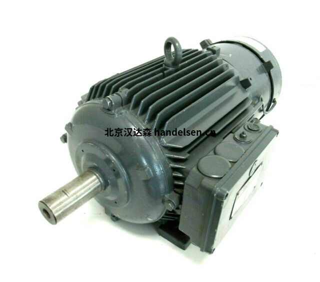 Dutchi鼠籠式感應電機TCA112M2E3U46 Dutchi鼠籠式感應電機TCA112M2E3U46
