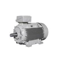 lammers IEC電機 適用于化學工業領域