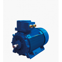 Marelli Motori 是電機和發電機的領先制造商，適用于多種工業領域
