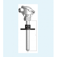Thermo-Electra熱電偶，熱電阻傳感器，多點溫度傳感器，熱電偶套管