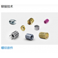 Bossard 提供多種不同類型的螺母，墊圈，螺釘，鉚釘等緊固件