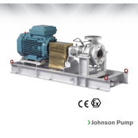 Johnson Pump 重型流程泵，適合化工/石化工業、煉油廠和一般工業應用