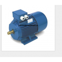 意大利 OEMER 異步電機 MTES3 系列：高效驅動，賦能工業新動能